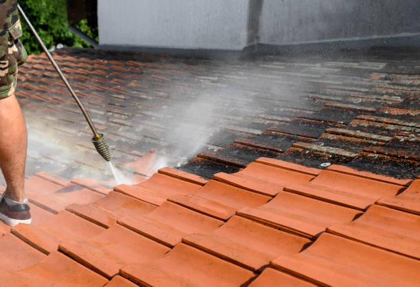 Best Fence Pressure Washing  in San Benito, TX