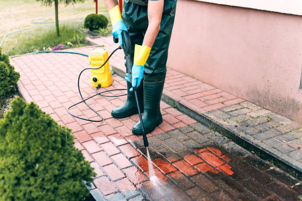 Best Residential Pressure Washing Services  in San Benito, TX