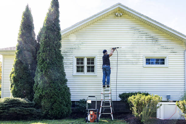 Best Roof Power Washing Services  in San Benito, TX