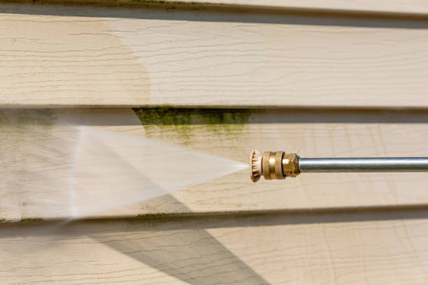 Best Pressure Washing Estimates  in San Benito, TX